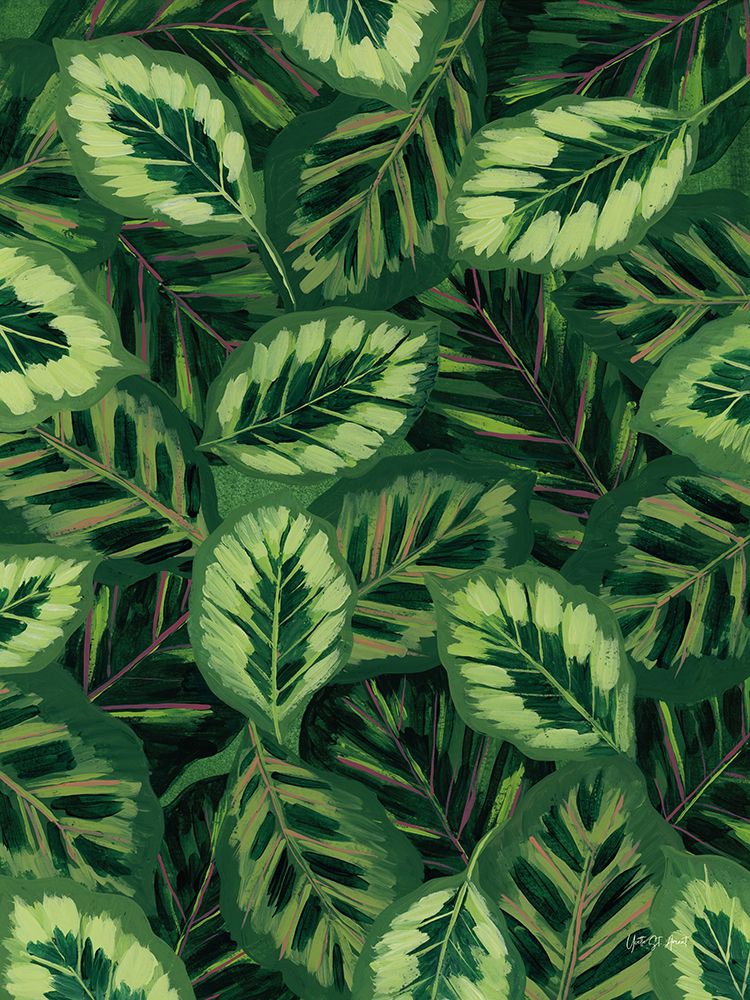 My Maranta art print by Yvette St. Amant for $57.95 CAD