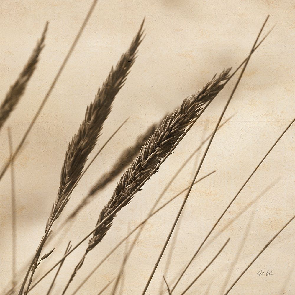 Whispering Rushes I art print by Deborah Revell for $57.95 CAD