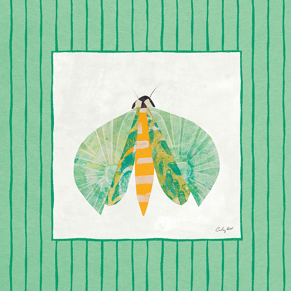 Collage Insects II V2 art print by Courtney Prahl for $57.95 CAD