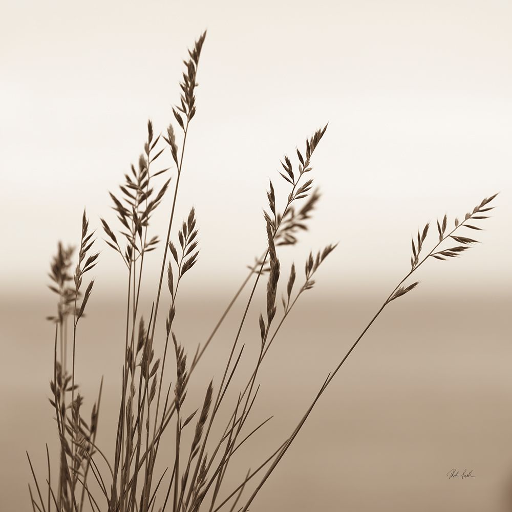 Sepia Wheat art print by Deborah Revell for $57.95 CAD