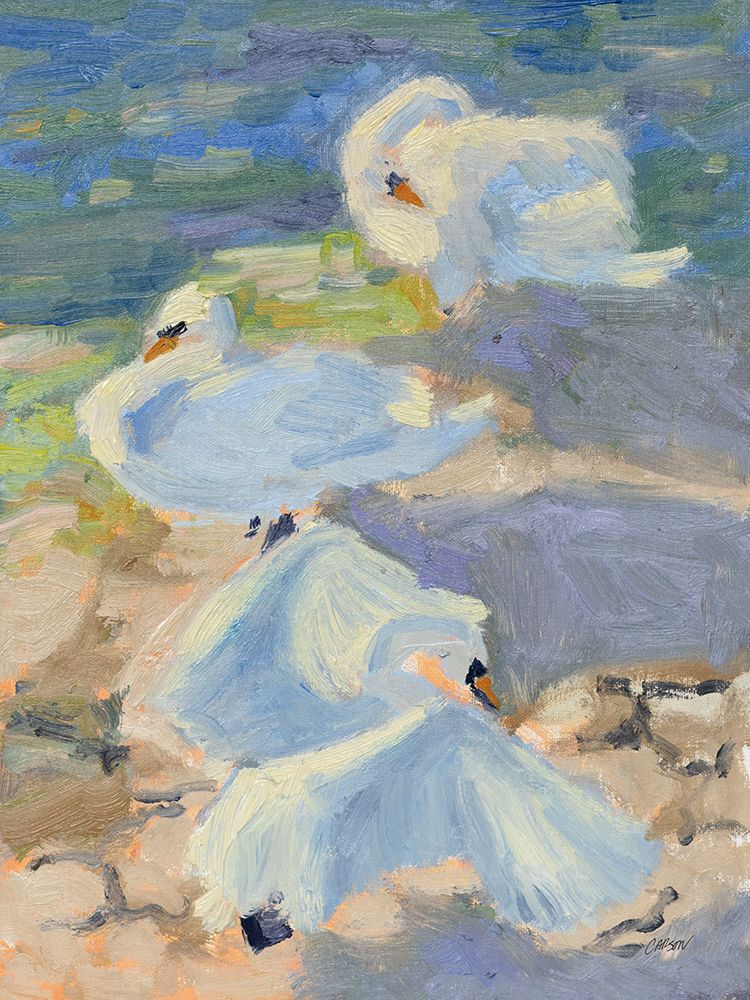 Swans Sunning art print by Carson Overstreet for $57.95 CAD