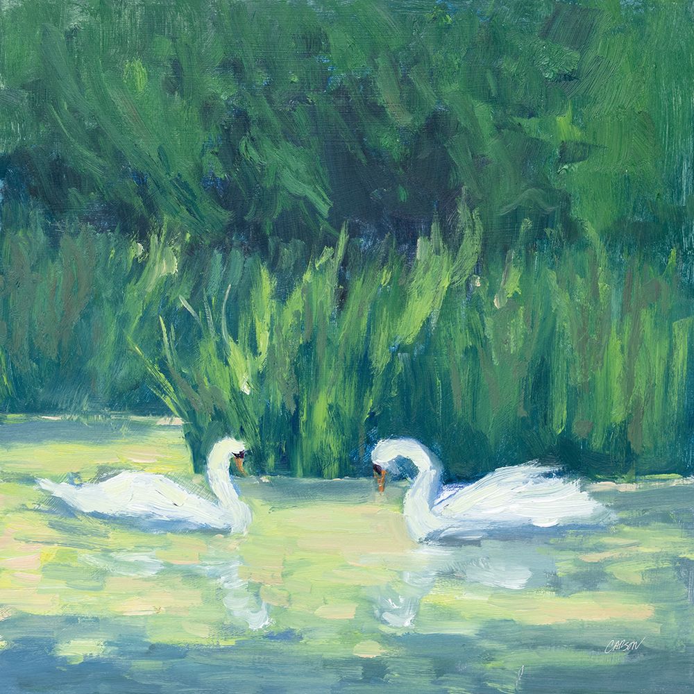 Swimming Together art print by Carson Overstreet for $57.95 CAD