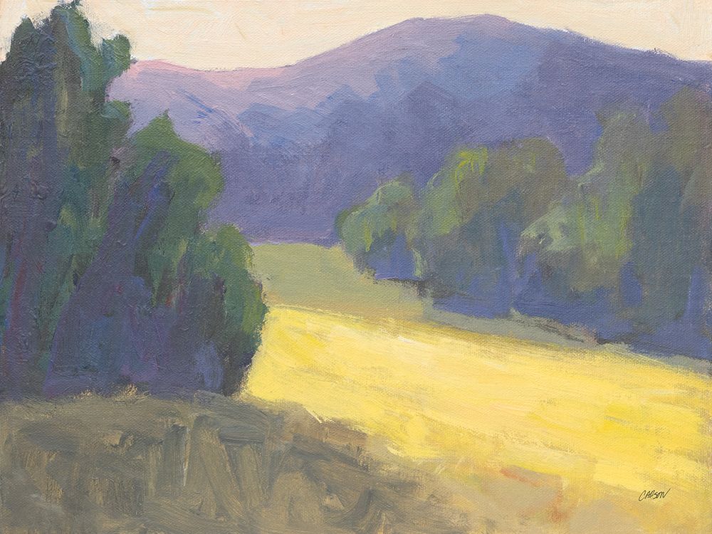 Mountain Shadows art print by Carson Overstreet for $57.95 CAD