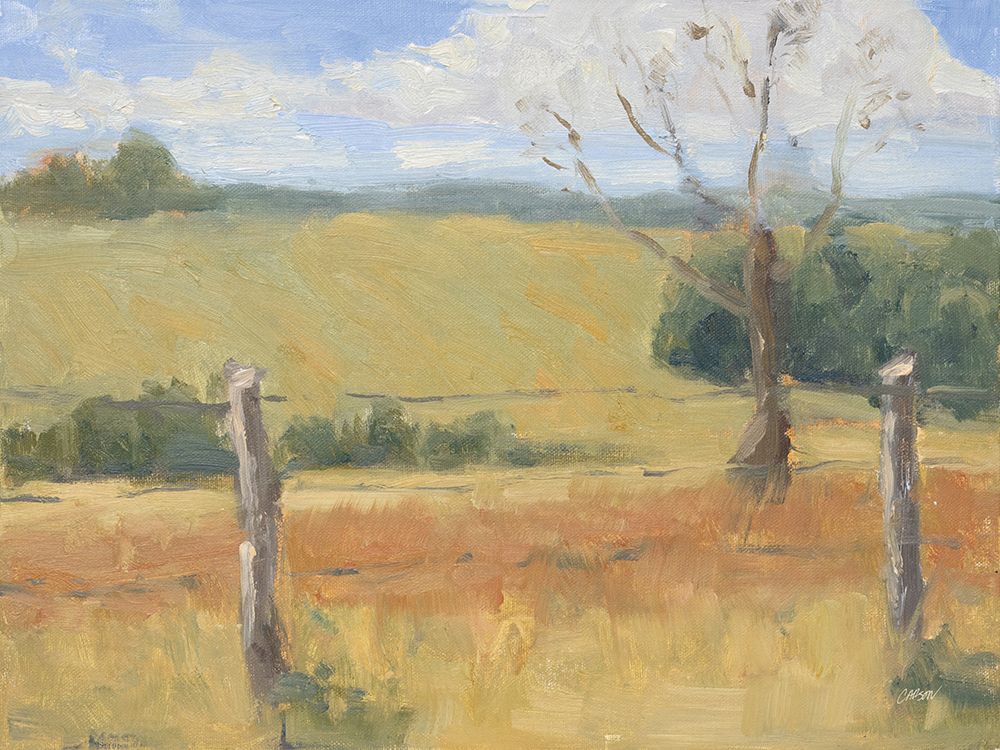 Sunny Pasture art print by Carson Overstreet for $57.95 CAD