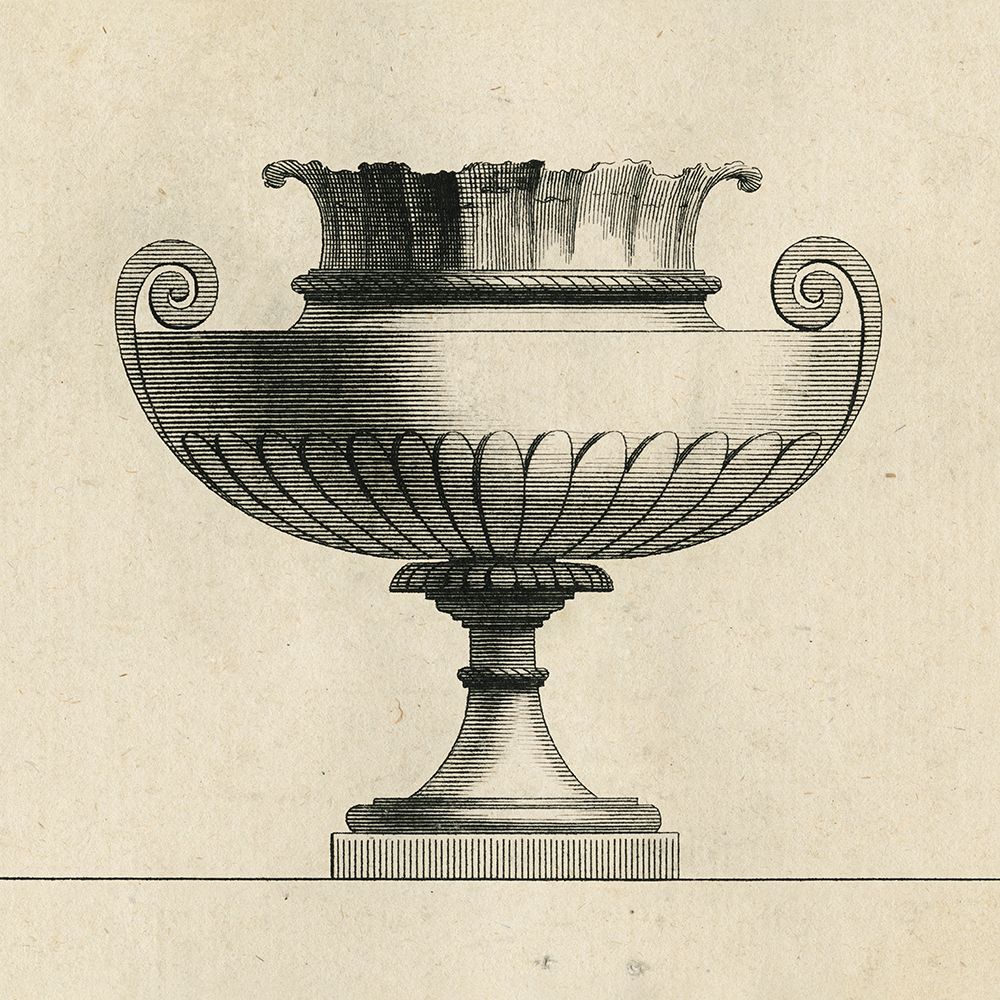 Classical Urns VI art print by Wild Apple Portfolio for $57.95 CAD