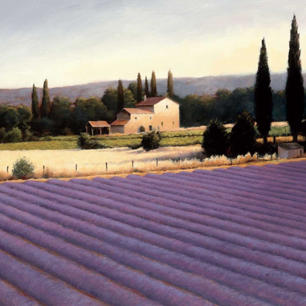 Lavender Fields II art print by James Wiens for $57.95 CAD