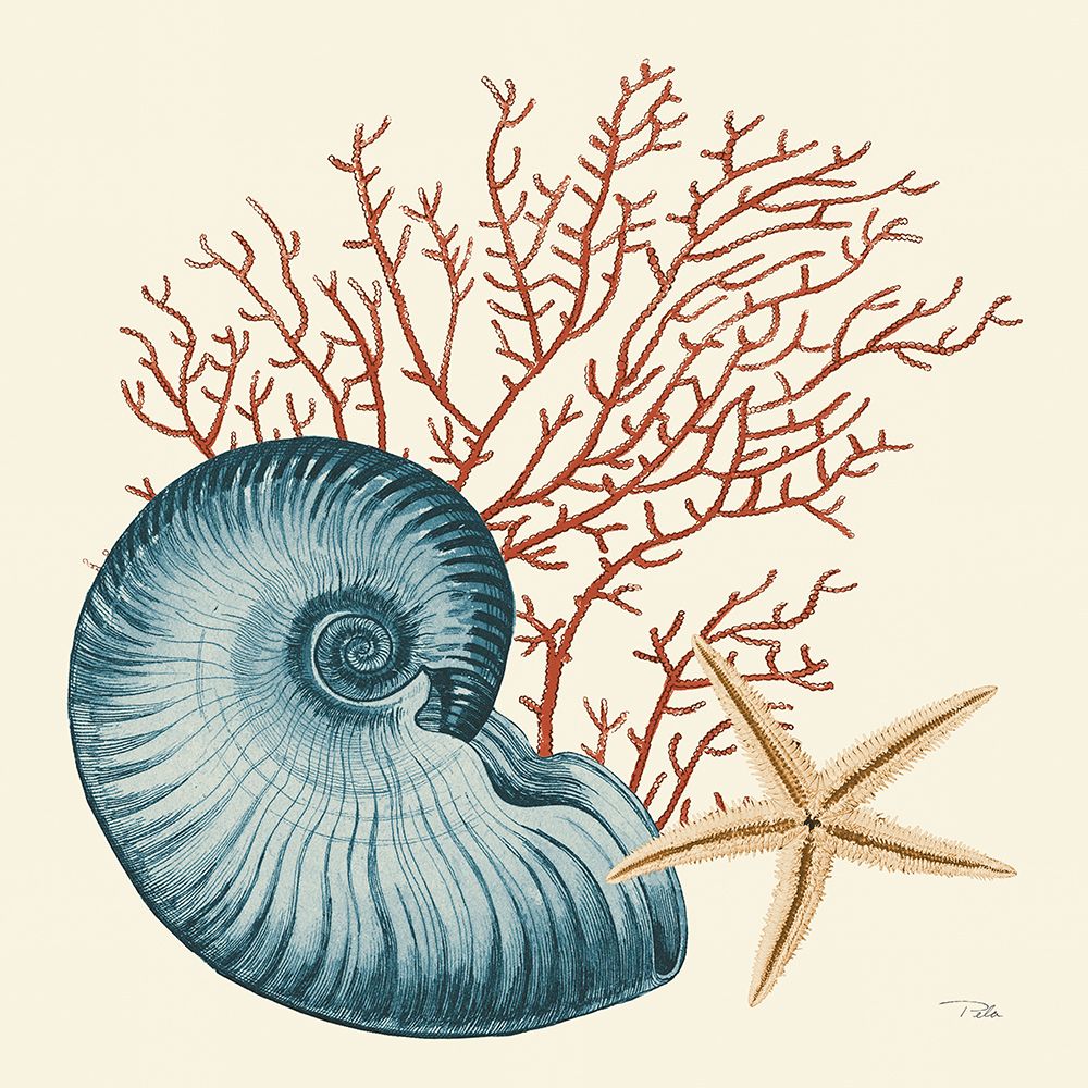 Ocean Life VIII art print by Alain Pelletier for $57.95 CAD