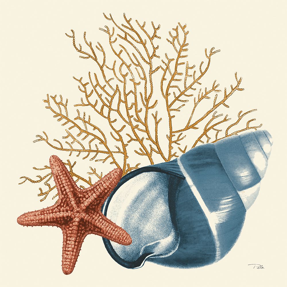 Ocean Life IX art print by Alain Pelletier for $57.95 CAD