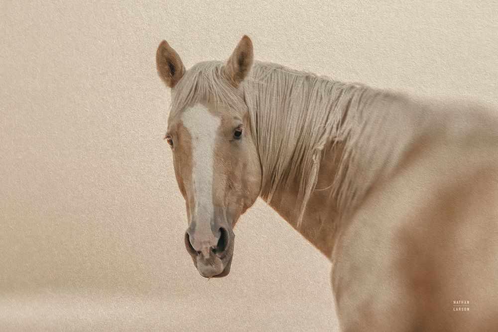 Looking Back art print by Nathan Larson for $57.95 CAD