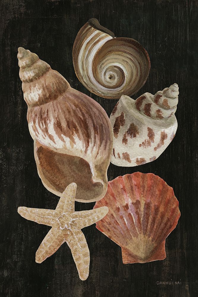 Nautical Shell Toss I art print by Danhui Nai for $57.95 CAD