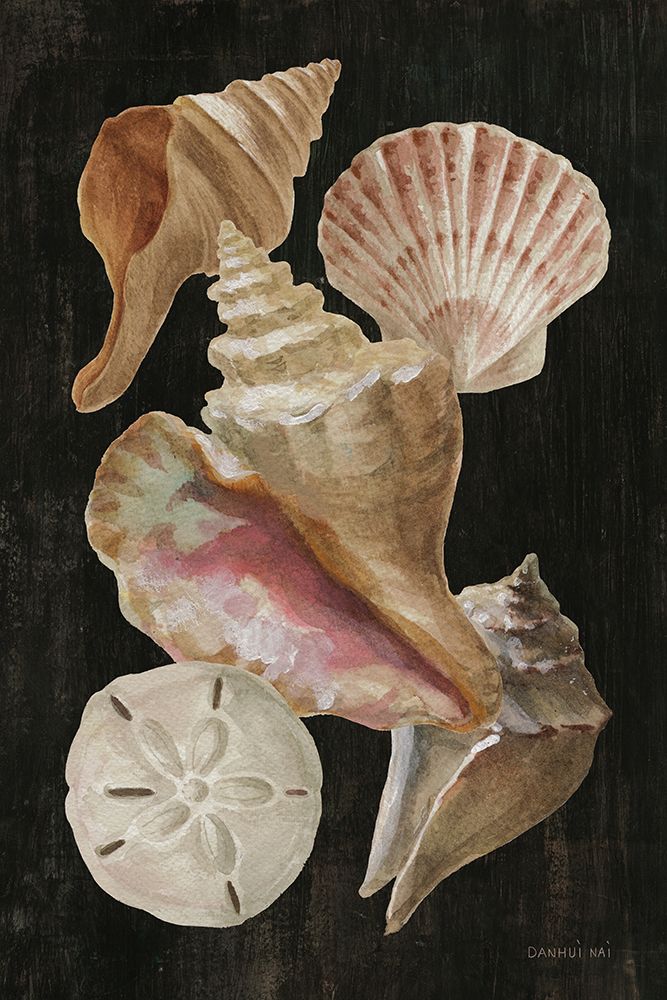 Nautical Shell Toss II art print by Danhui Nai for $57.95 CAD