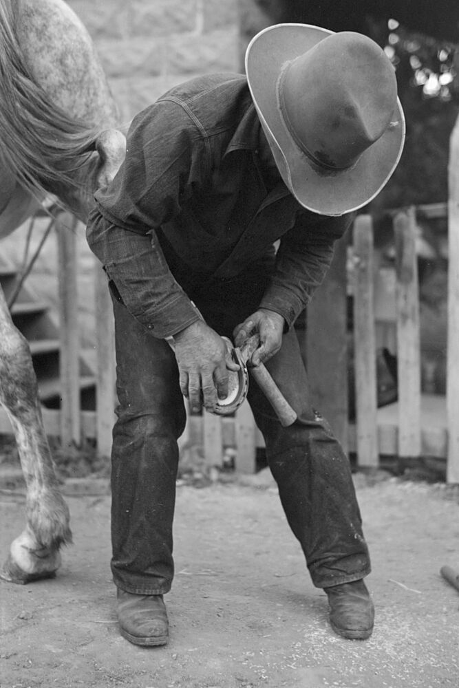 Farmer Shoeing a Horse art print by Wild Apple Portfolio for $57.95 CAD
