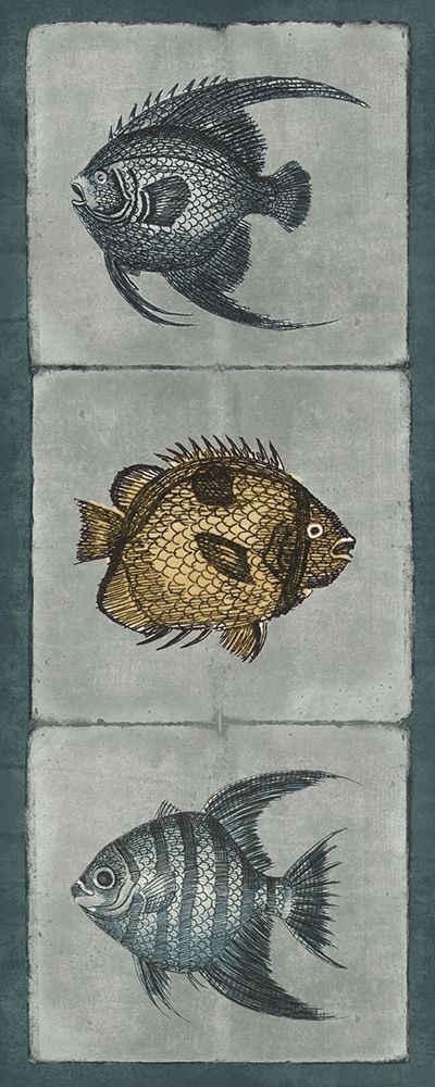 Fish Sketches V art print by Wild Apple Portfolio for $57.95 CAD