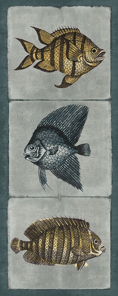 Fish Sketches VI art print by Wild Apple Portfolio for $57.95 CAD
