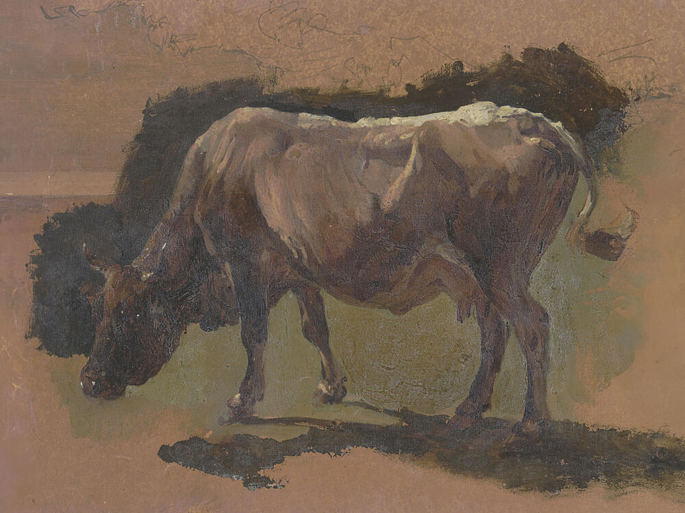 Cow in Albano art print by Wild Apple Portfolio for $57.95 CAD