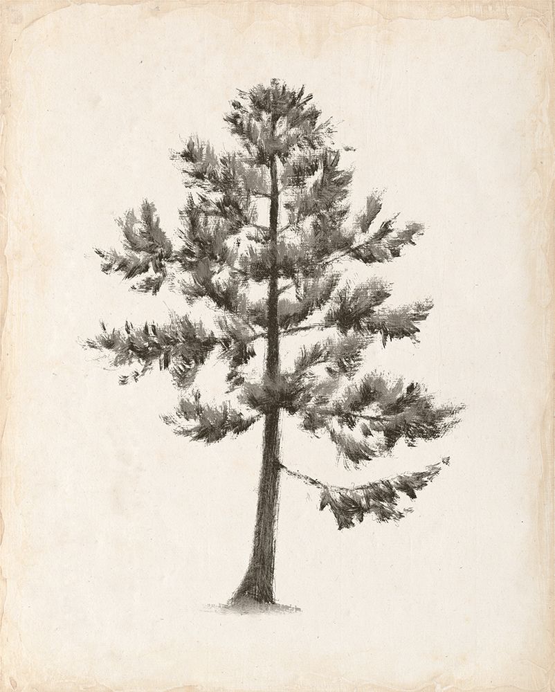 Into the Woods Trees I v2 art print by Emily Adams for $57.95 CAD