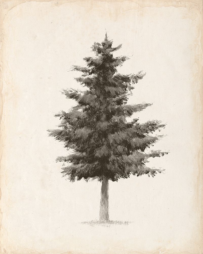Into the Woods Trees II v2 art print by Emily Adams for $57.95 CAD