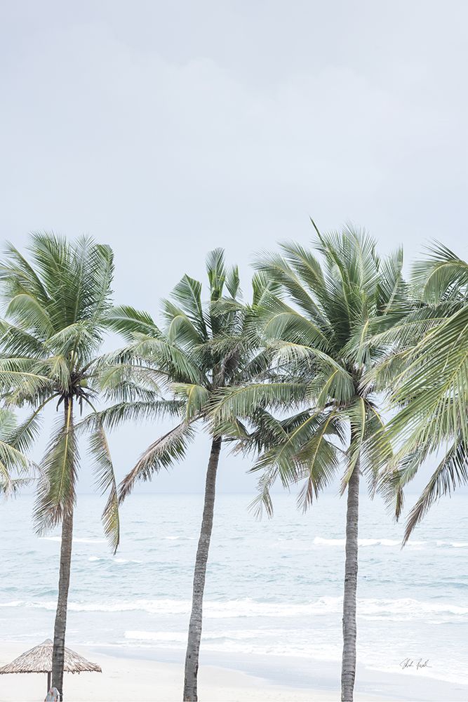 Palm Bay art print by Deborah Revell for $57.95 CAD