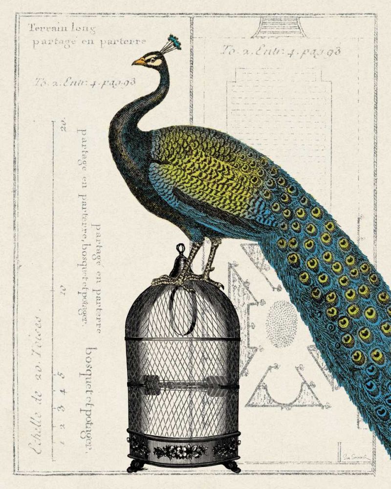 Peacock Birdcage II art print by Sue Schlabach for $57.95 CAD