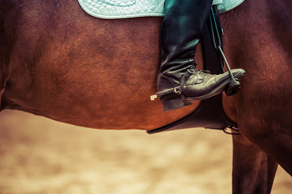 Western Rider art print by Wild Apple Portfolio for $57.95 CAD