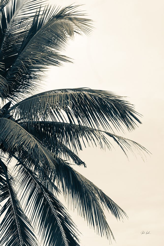 Tropical Palm I art print by Deborah Revell for $57.95 CAD
