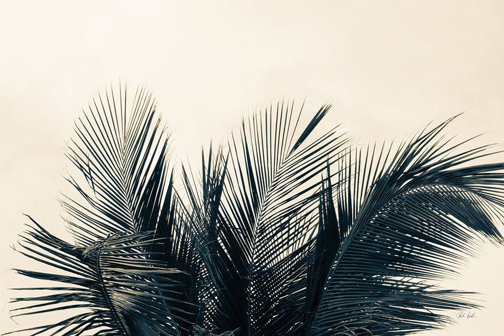 Tropical Palm II art print by Deborah Revell for $57.95 CAD