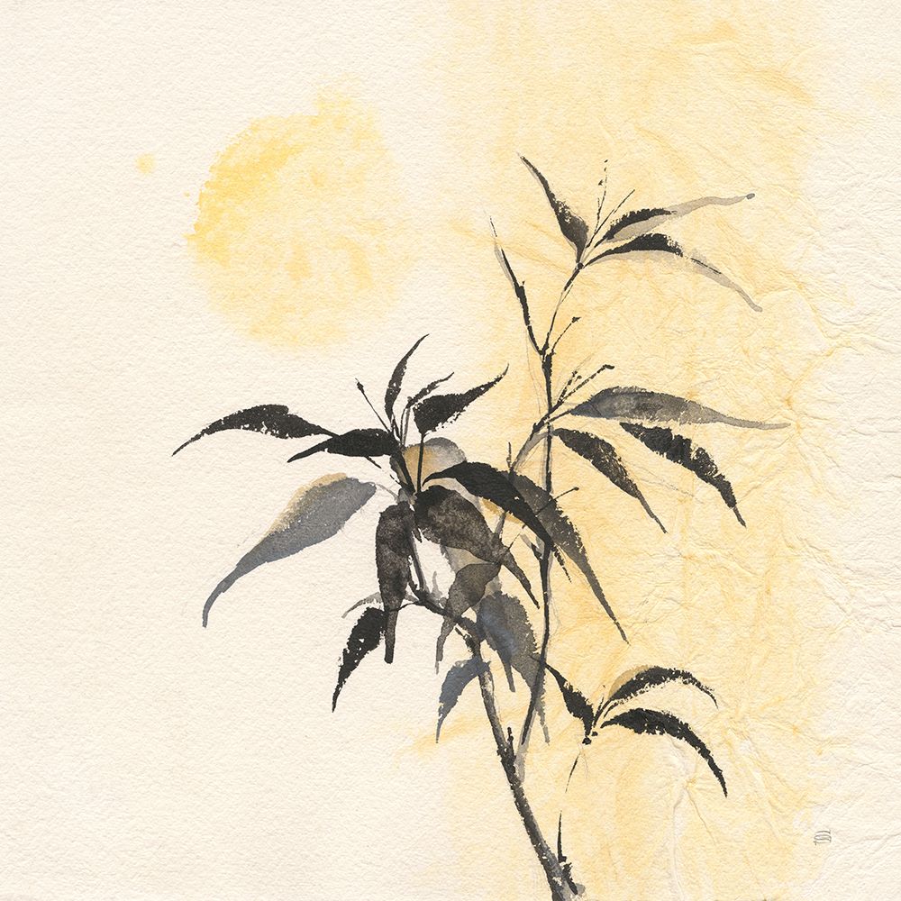 Bamboo Sun I art print by Chris Paschke for $57.95 CAD