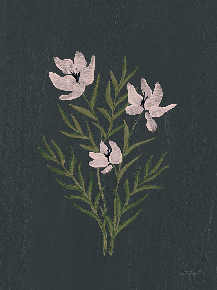 Pretty Little Flower IV Black V2 art print by Yvette St. Amant for $57.95 CAD