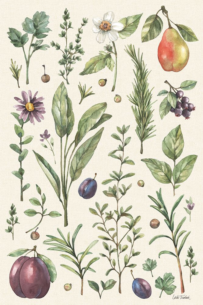 Illustrated Garden V art print by Leslie Trimbach for $57.95 CAD