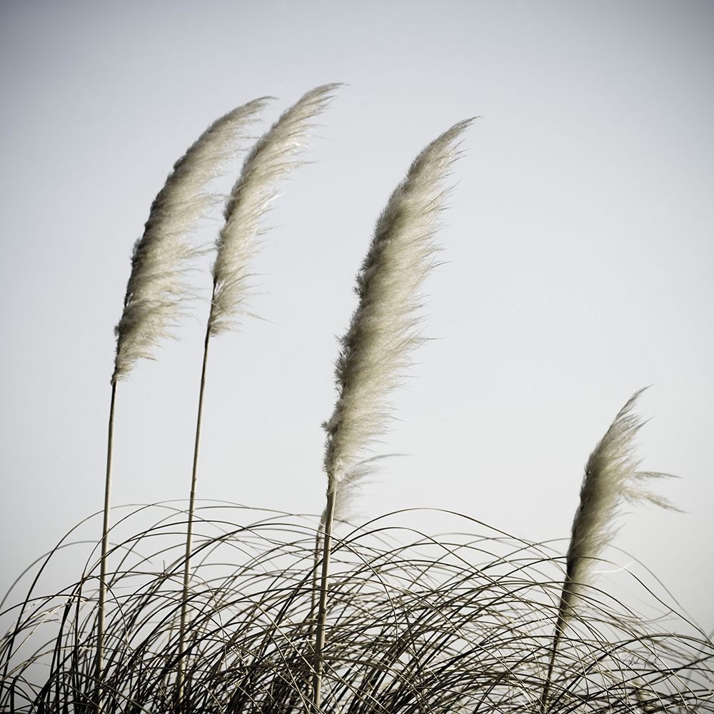 Spirit Dance I art print by Deborah Revell for $57.95 CAD