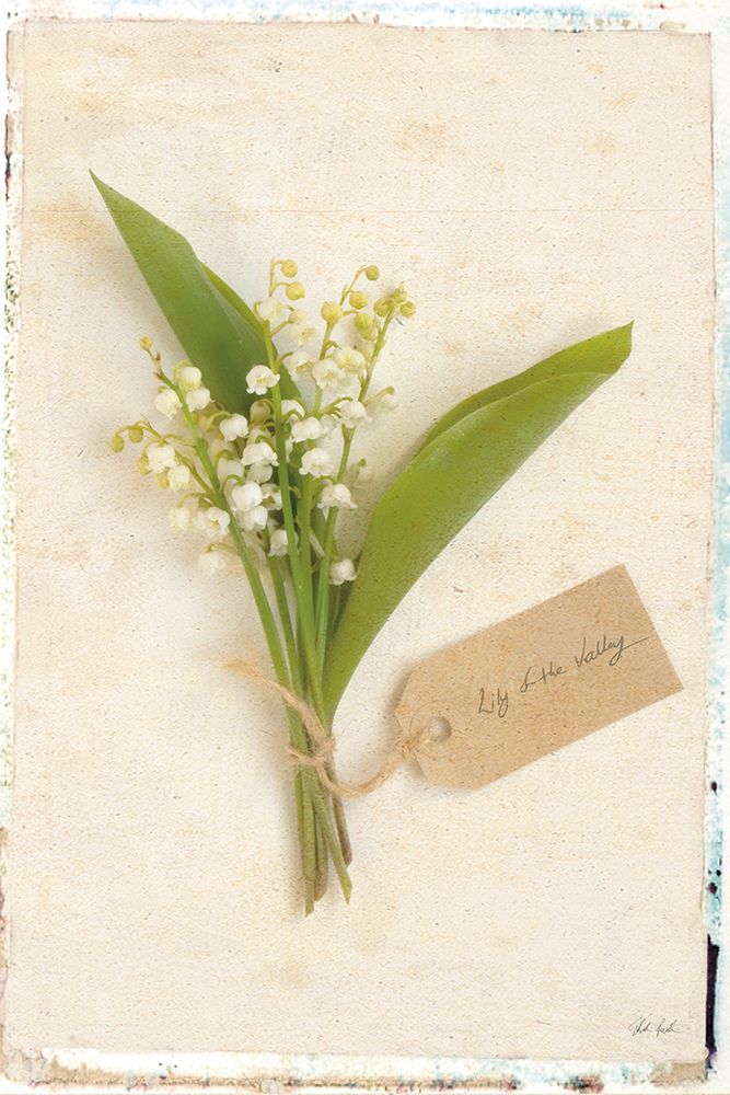 Cottage Lily of the Valley art print by Deborah Revell for $57.95 CAD