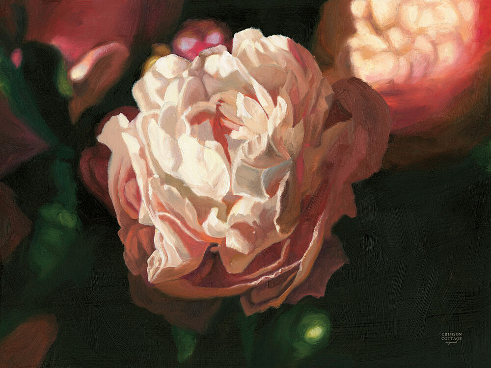 Pink Peony Bloom art print by Crimson Cottage for $57.95 CAD