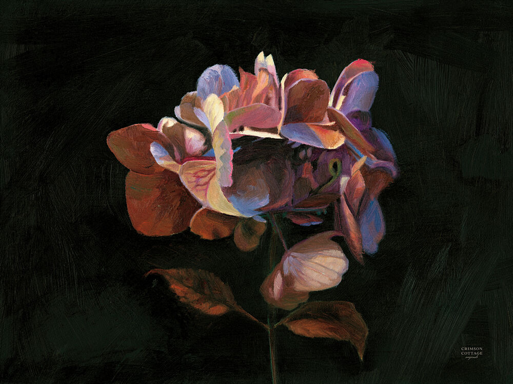Vintage Moody Dried Hydrangea art print by Crimson Cottage for $57.95 CAD