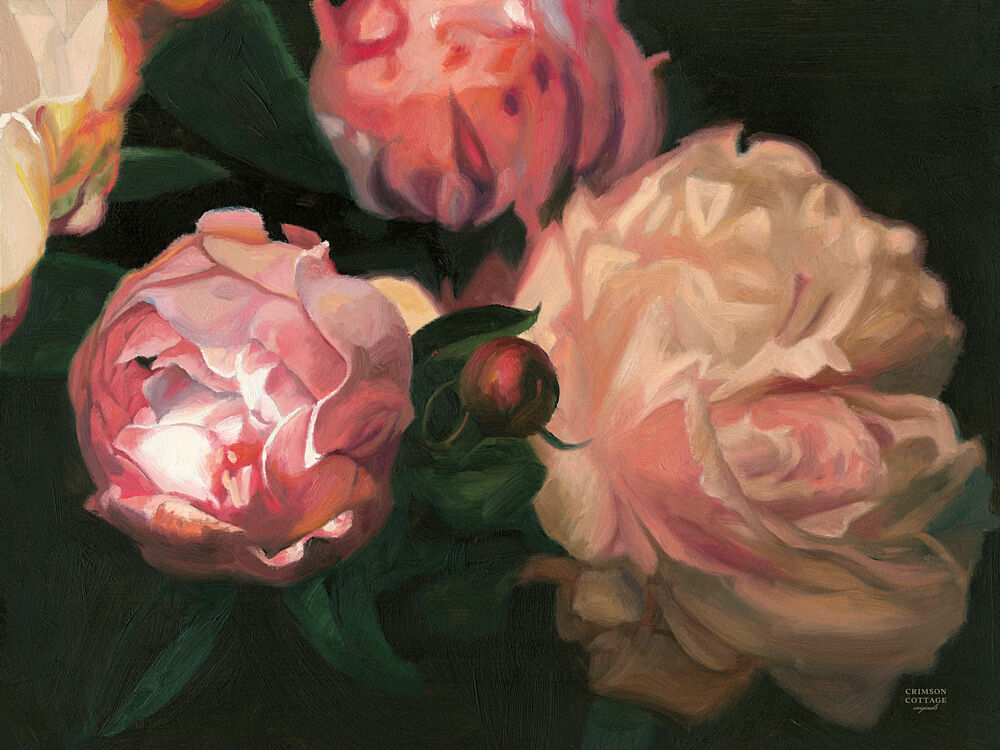 Peonies in Bloom art print by Crimson Cottage for $57.95 CAD