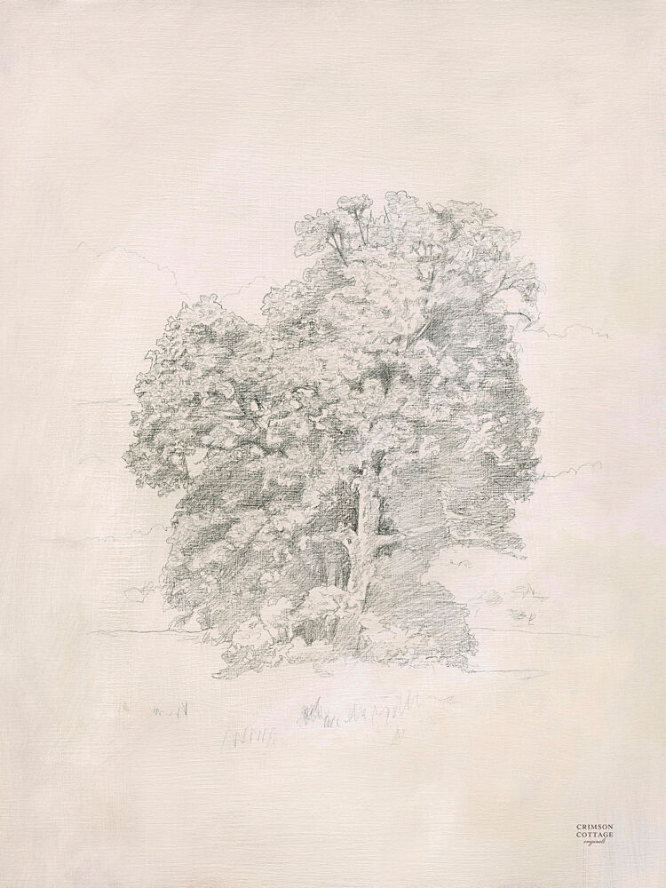 Sycamore Tree I art print by Crimson Cottage for $57.95 CAD