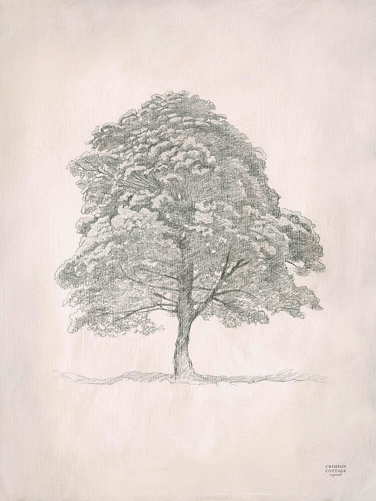 Sycamore Tree II art print by Crimson Cottage for $57.95 CAD