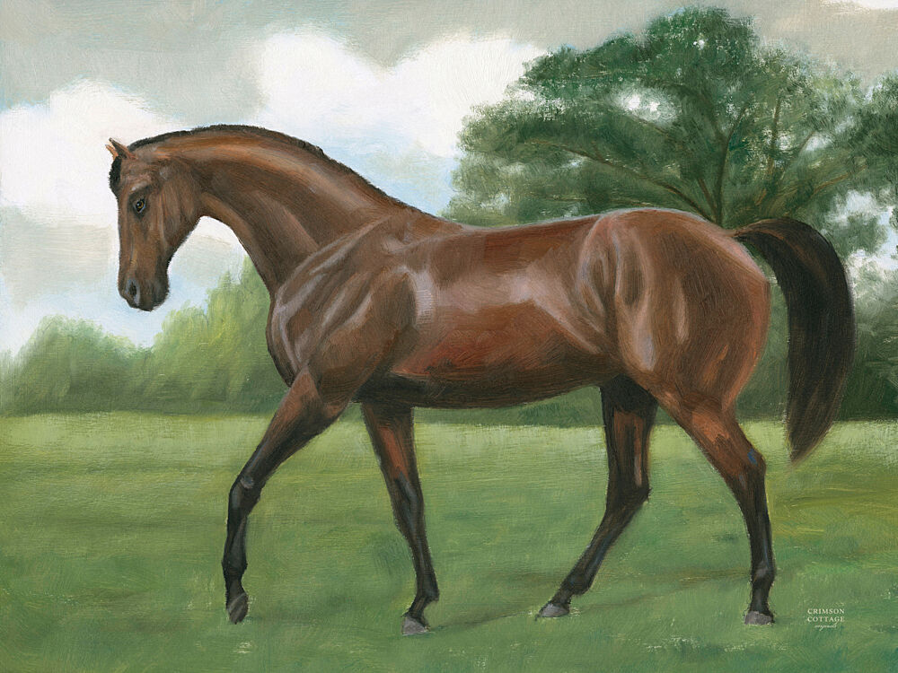 Vintage Horse Portrait I art print by Crimson Cottage for $57.95 CAD
