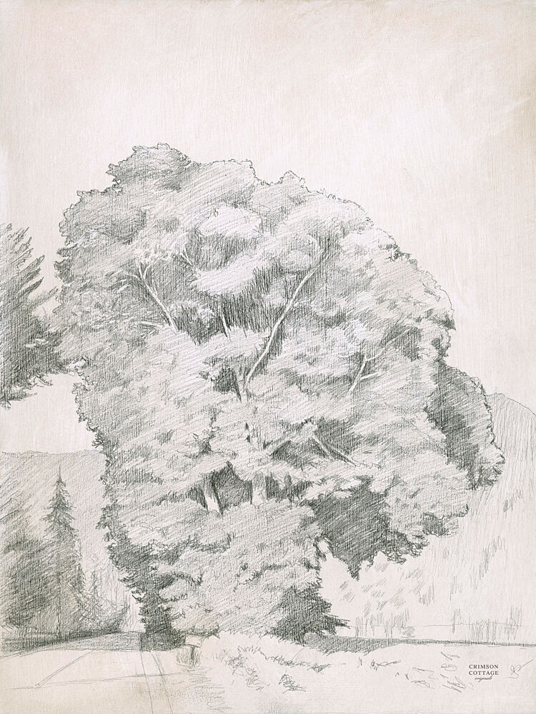 Maple II art print by Crimson Cottage for $57.95 CAD