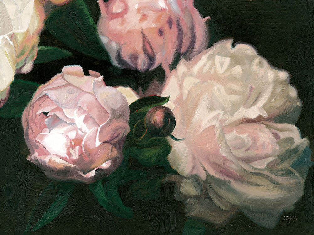 Peonies in Bloom V2 art print by Crimson Cottage for $57.95 CAD