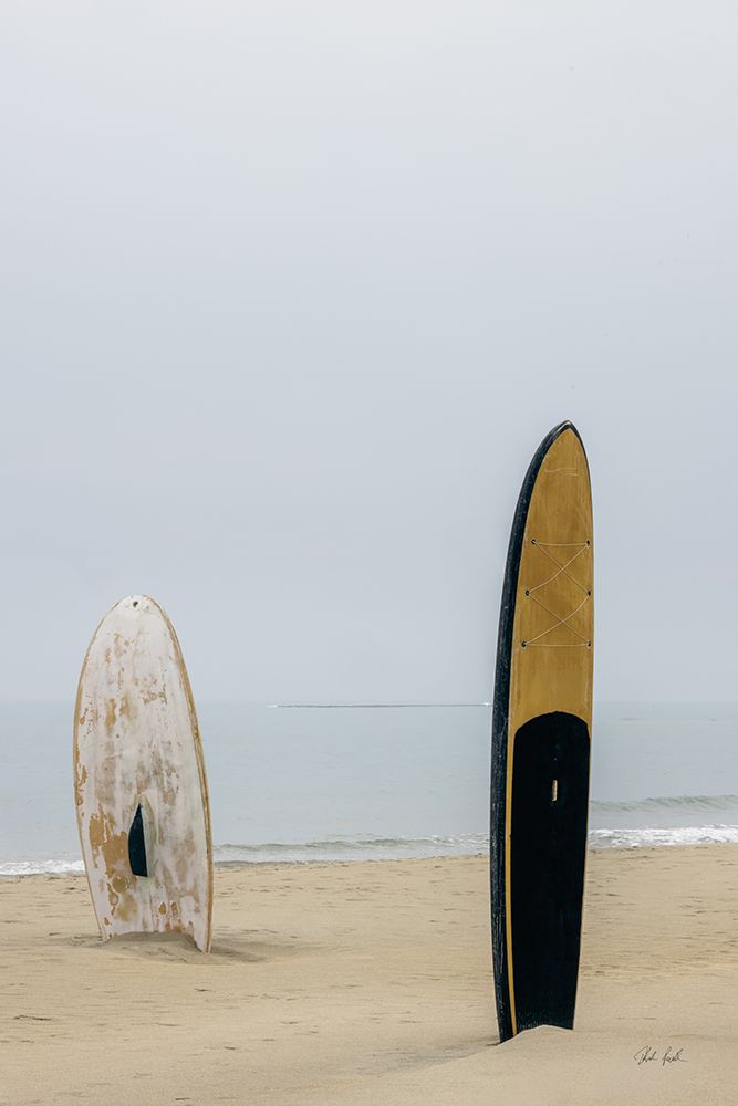 Long Boards II art print by Deborah Revell for $57.95 CAD