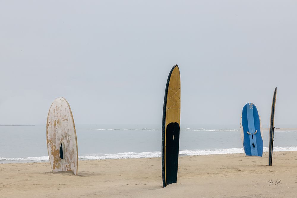 Long Boards III art print by Deborah Revell for $57.95 CAD