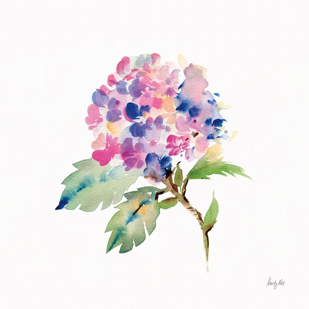 Happy Hydrangea art print by Kristy Rice for $57.95 CAD
