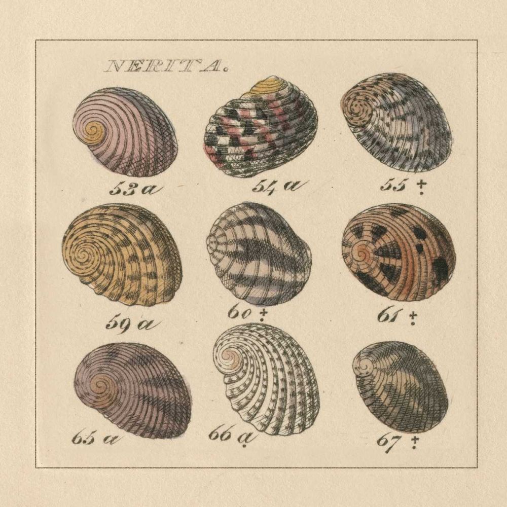 Nertia art print by Wild Apple Portfolio for $57.95 CAD