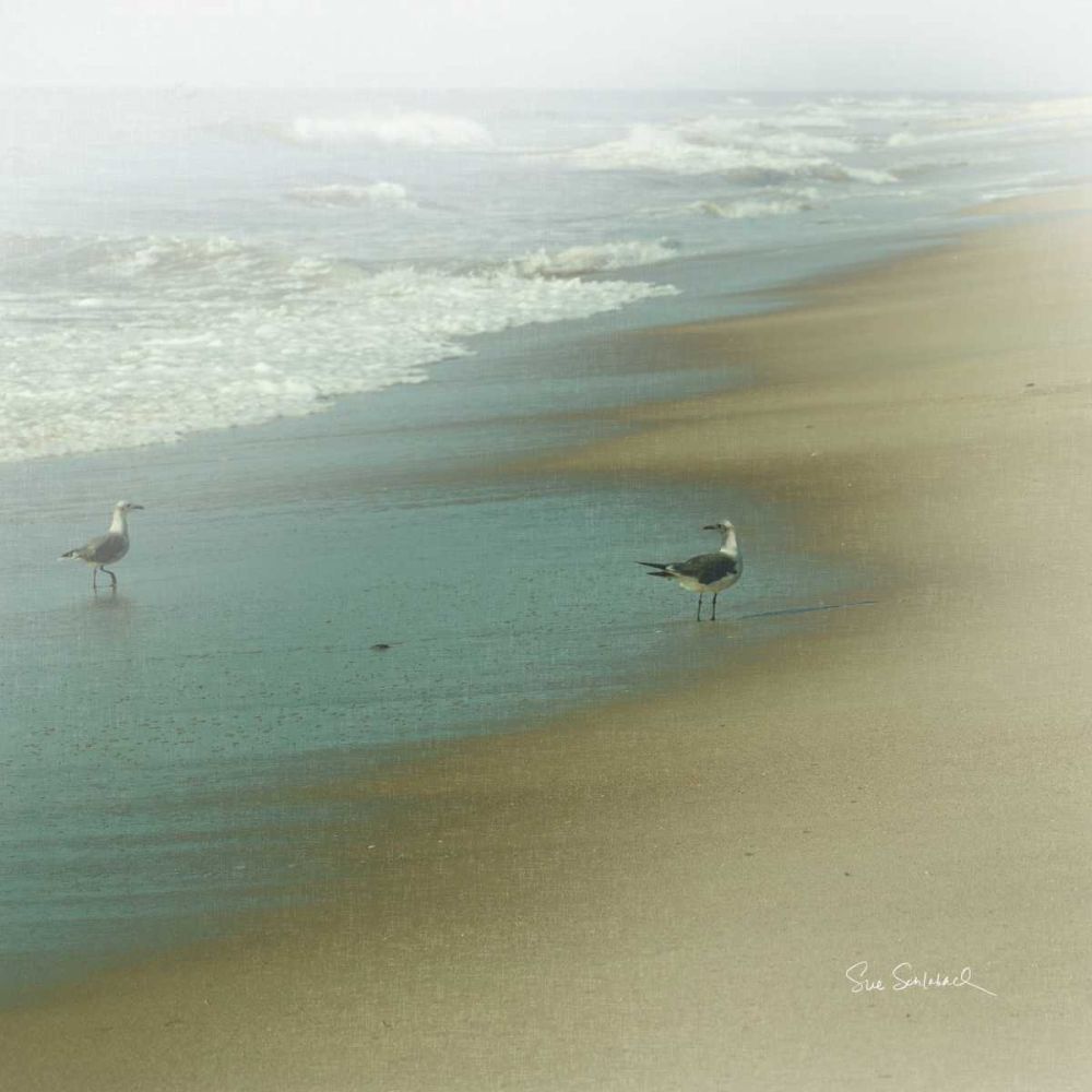 Seabirds art print by Sue Schlabach for $57.95 CAD
