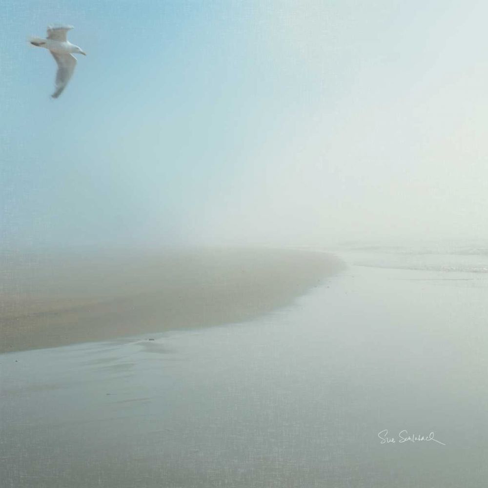 Seagull Morning art print by Sue Schlabach for $57.95 CAD