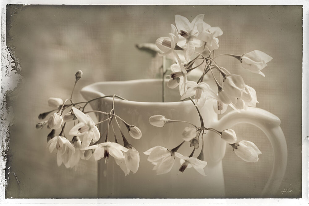 Cruche Et Fleur de Printemps art print by Deborah Revell for $57.95 CAD