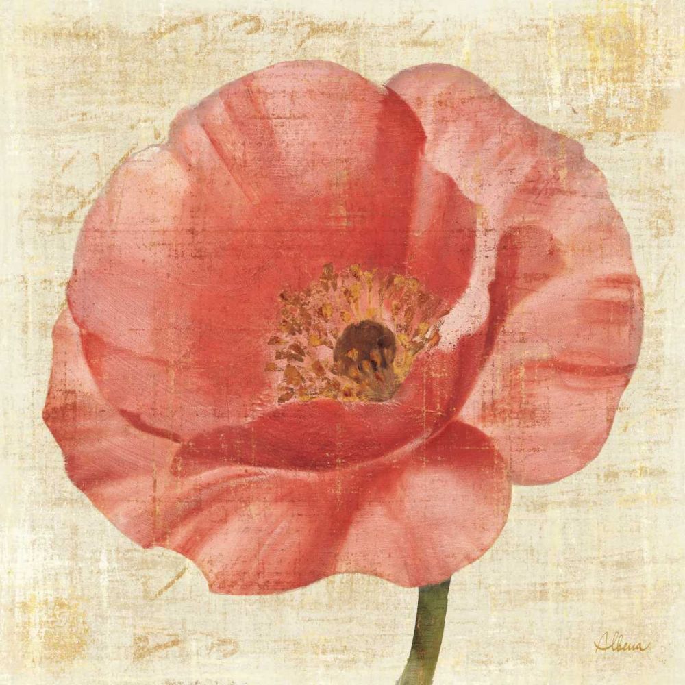 Blushing Poppy on Cream art print by Albena Hristova for $57.95 CAD