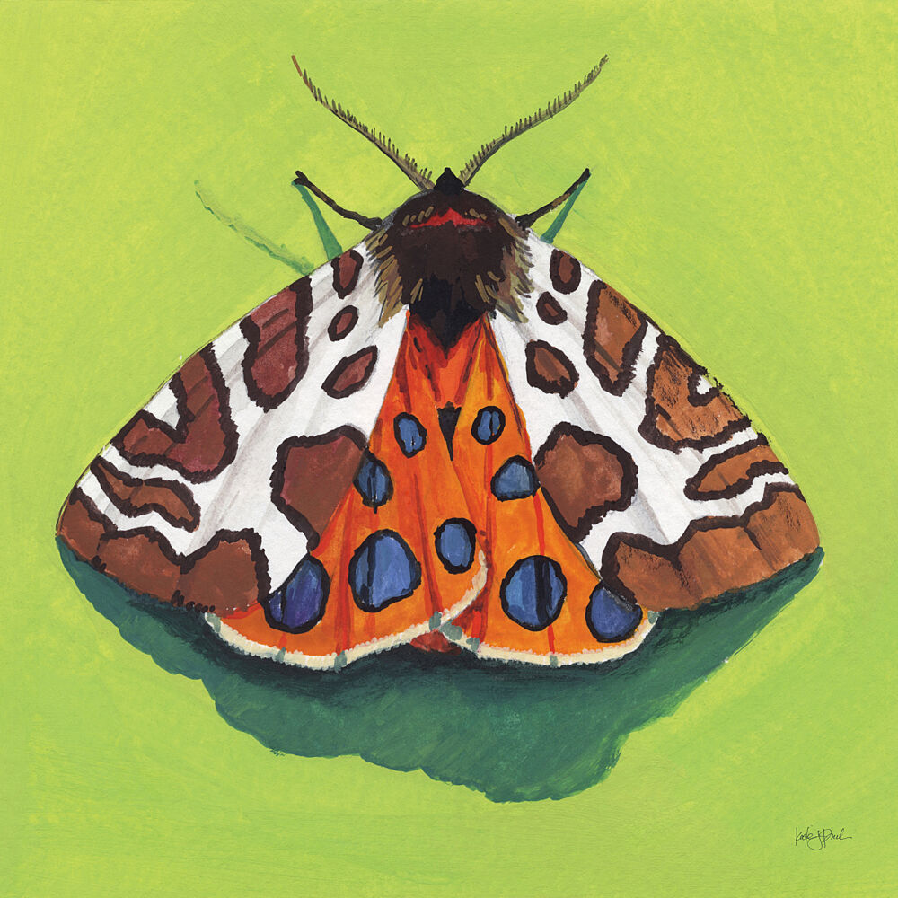 Tiger Moth art print by Kate Jarvik Birch for $57.95 CAD