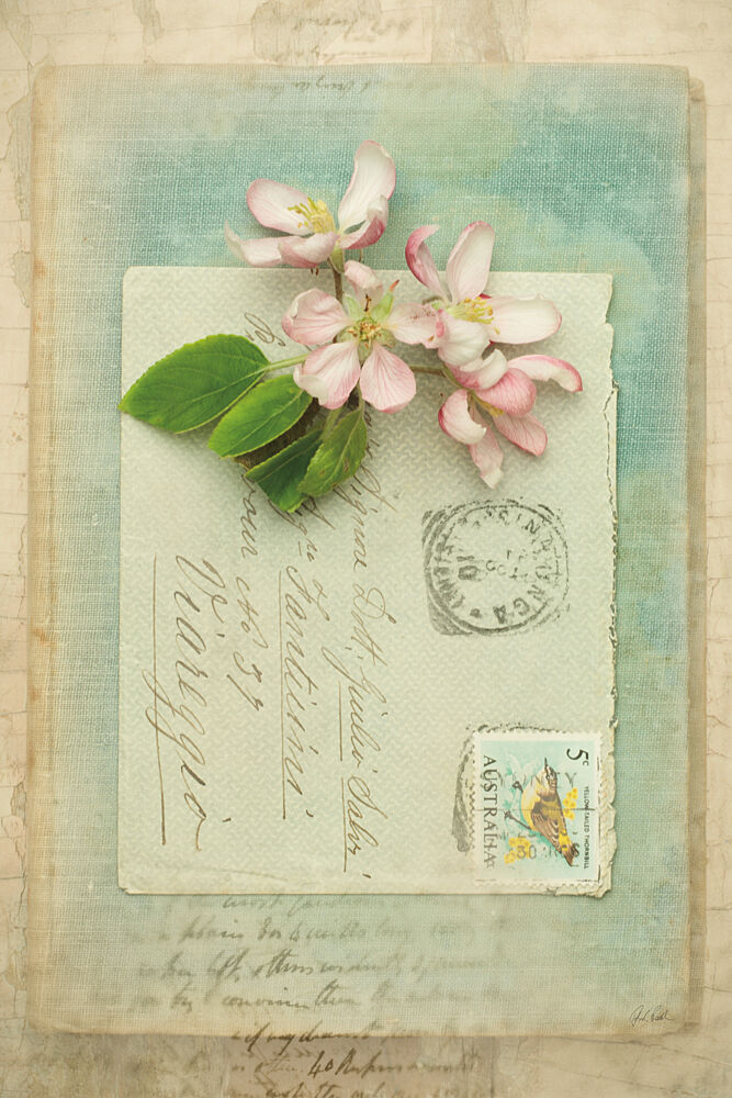 Poets Garden I art print by Deborah Revell for $57.95 CAD