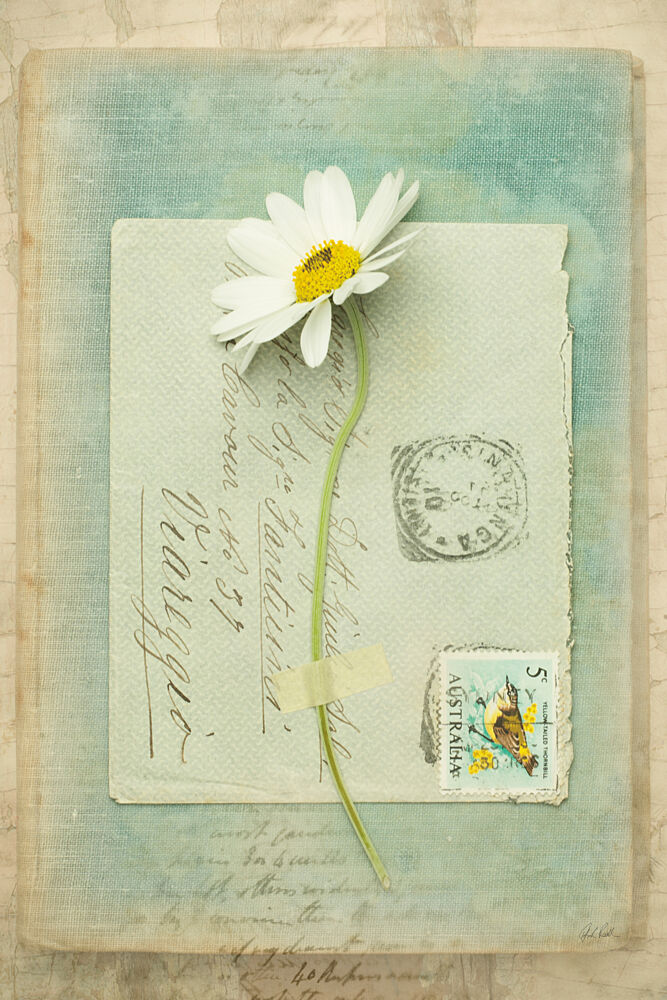 Poets Garden IV art print by Deborah Revell for $57.95 CAD